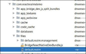 Getting started with Realm for React Native - LogRocket Blog