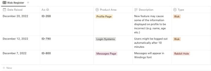 Risk Register Screenshot