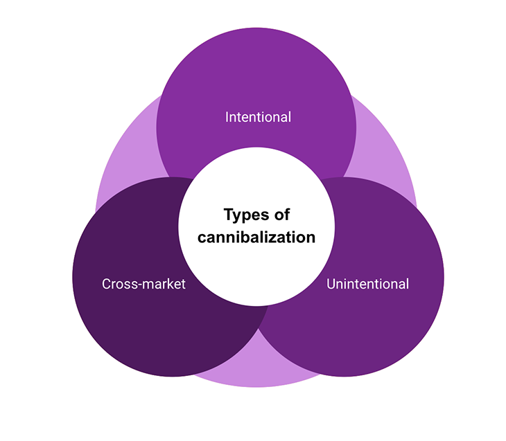 Three Types Of Cannibalization Graph