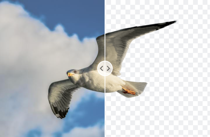 Half Transparent Image