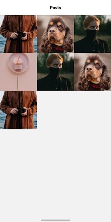 React Native App Displaying Image Gallery With Seven Images In Three Columns