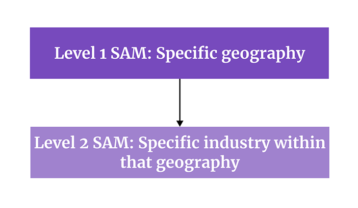 Level One And Level Two SAMs