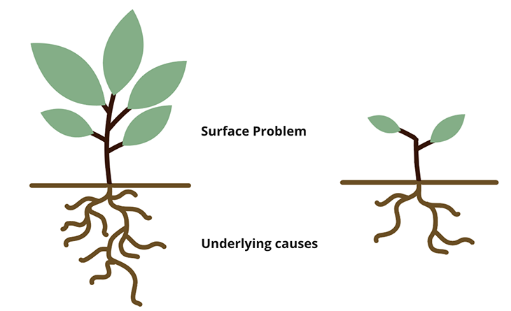 Root Cause Analysis Graphic