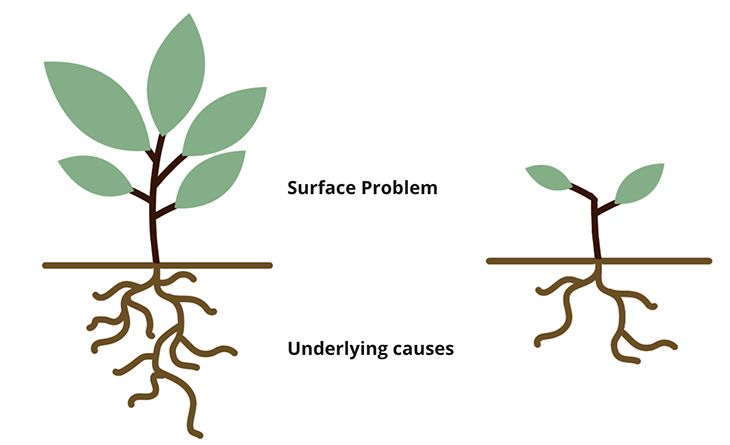 Learning lessons and root cause analysis – Broadleaf