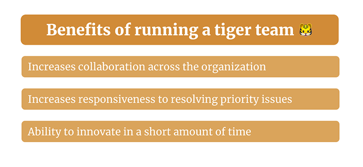 Benefits Of Running Tiger Teams