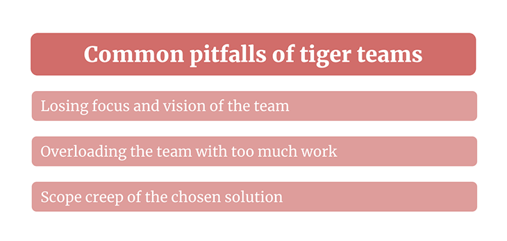 Common Pitfalls Tiger Teams
