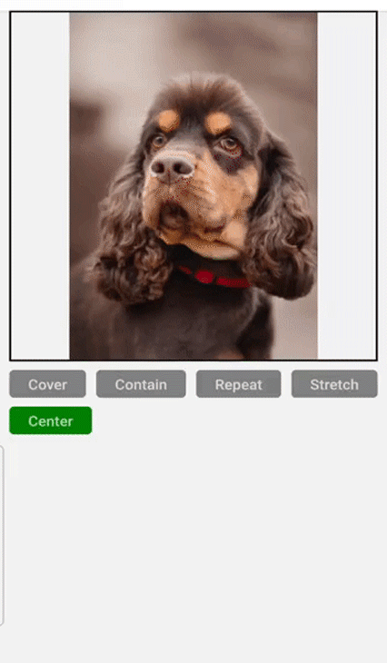 Stock Image Of Brown Dog In Red Collar Displayed Above Five Buttons Labeled With Each React Native Resizemode Property. User Shown Clicking On Each Button As Image Scales To Demonstrate Each Property In Action