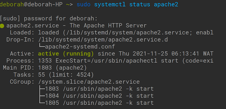 Apache Status Screen