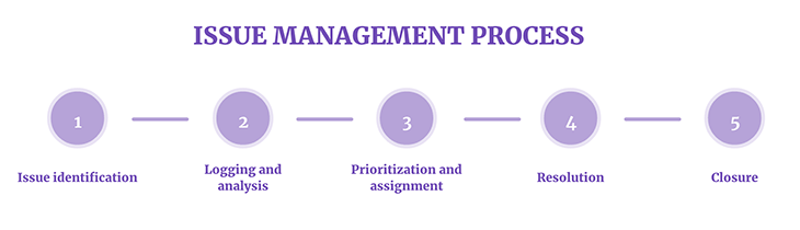 project management issue resolution process