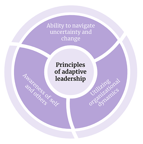 Principles Of Adaptive Leadership