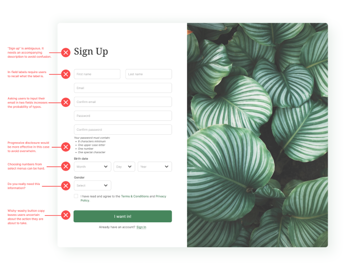 Example Sign-up Page Issues