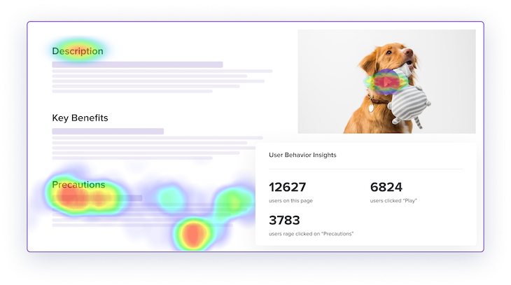 Heatmap Example: Bank Of America Website