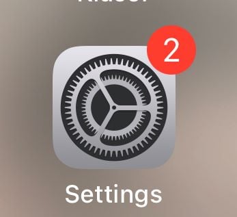 iPhone Settings Icon