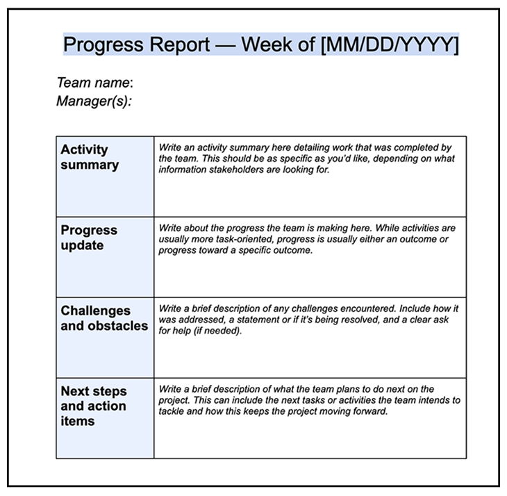 Progress Report Template Example