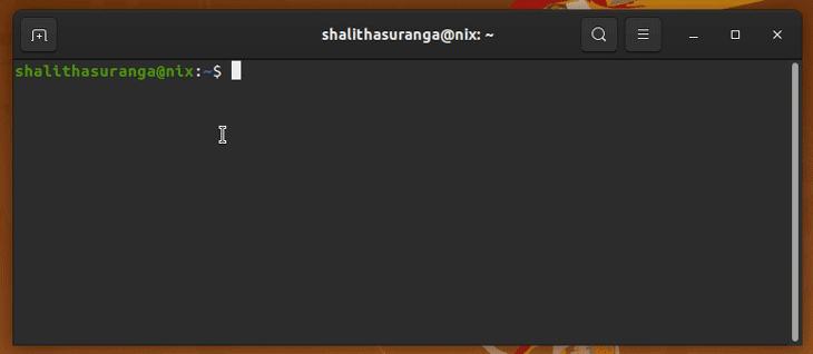 Running the zig command in an Ubuntu terminal