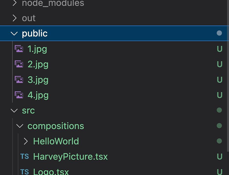 Изображения находятся в папке public