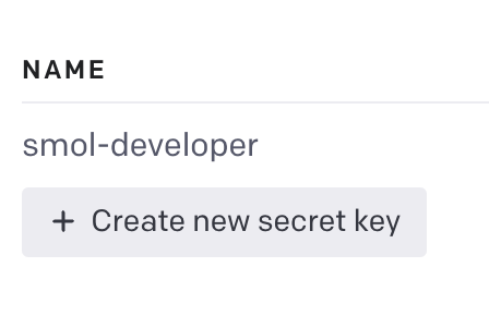 Smol-developer OpenAI API Key