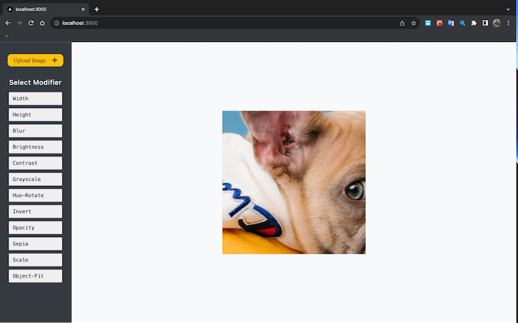 Crystalize Js App With Sidebar And Canvas Now Containing Uploaded And Rendered Image Of A Small Dog In A Hoodie