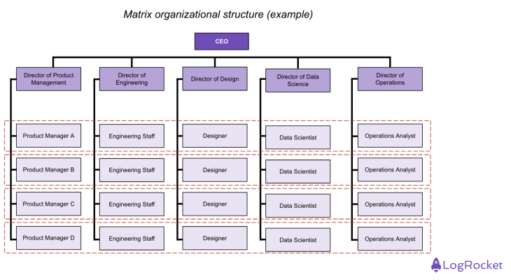 Matrix Organization Example Graphic