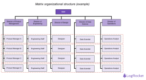 The matrix organizational structure: Pros, cons, and insights ...