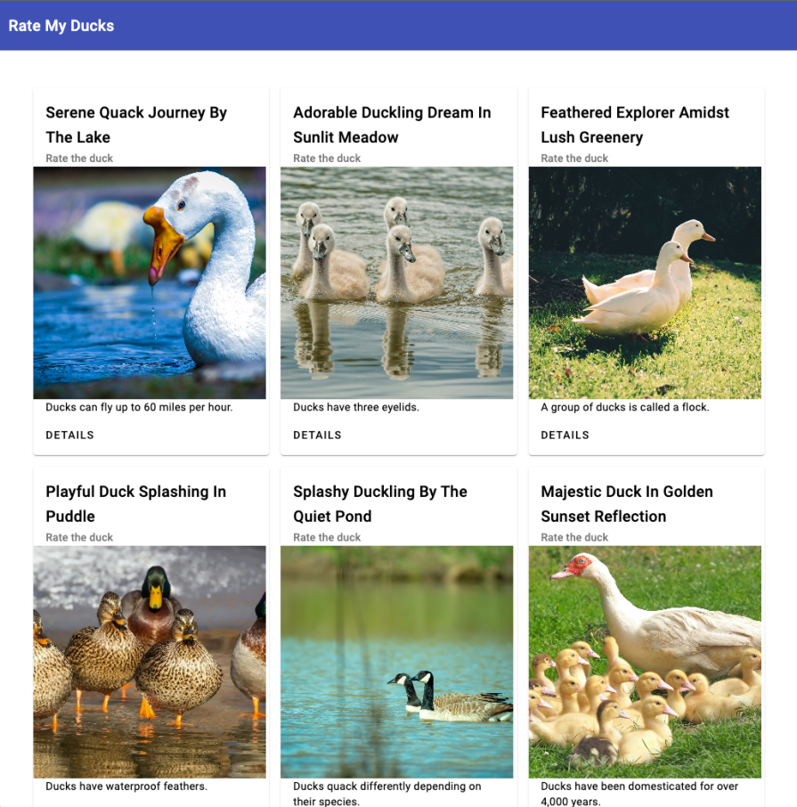 Overview Of Rate My Ducks Demo App Showing Blue Bar At Top With App Title And Rows Of Three Duck Card Components With Titles, Images, Fun Fact About Ducks, And Details Text Button