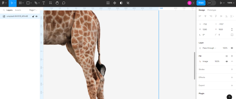 Closeup of Giraffe