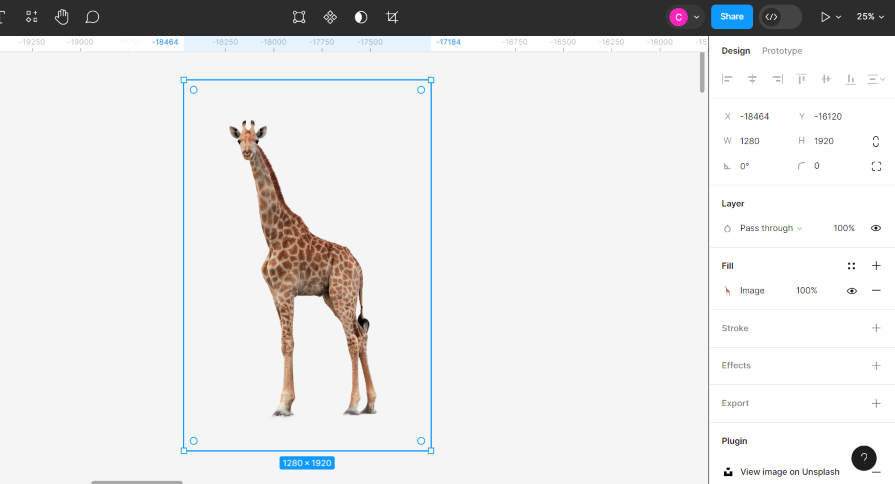 Giraffe Image Without Background