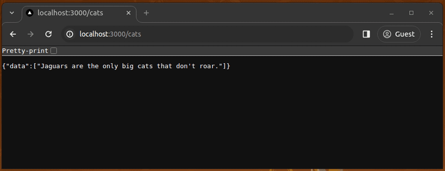 How to use a proxy in Next.js - LogRocket Blog