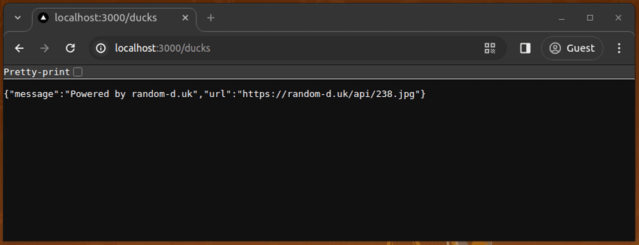 Retrieving Random Duck Images From An External API Using A Proxy In Next.js