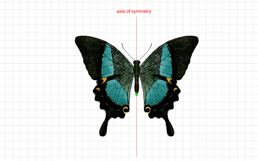 Axis of symmetry butterfly example