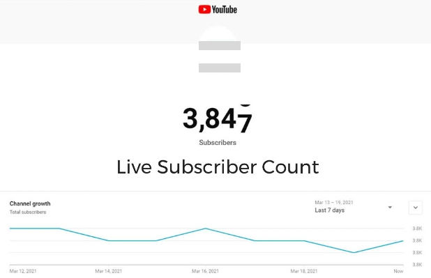 YouTube Subscriber Count