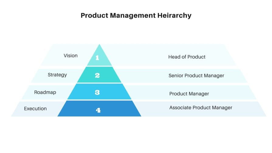Product management hierarchy