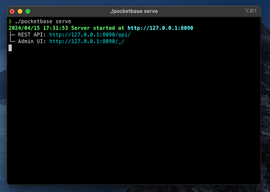 Message Printed On Terminal Window After Pocketbase Has Started Successfully