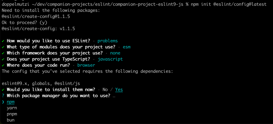 Interactive Eslint Installation Wizard Guiding User Through Project Setup