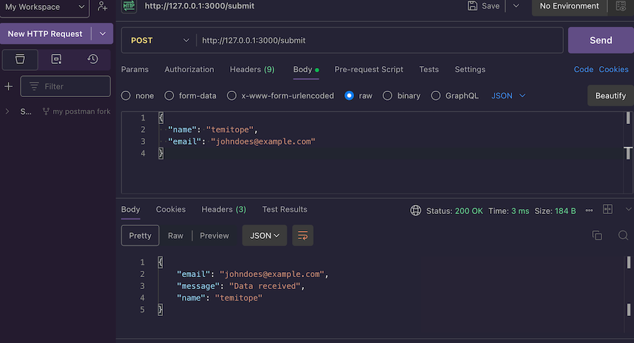 Testing Post Route In Fiber Using Postman With Resulting Status 200 Response