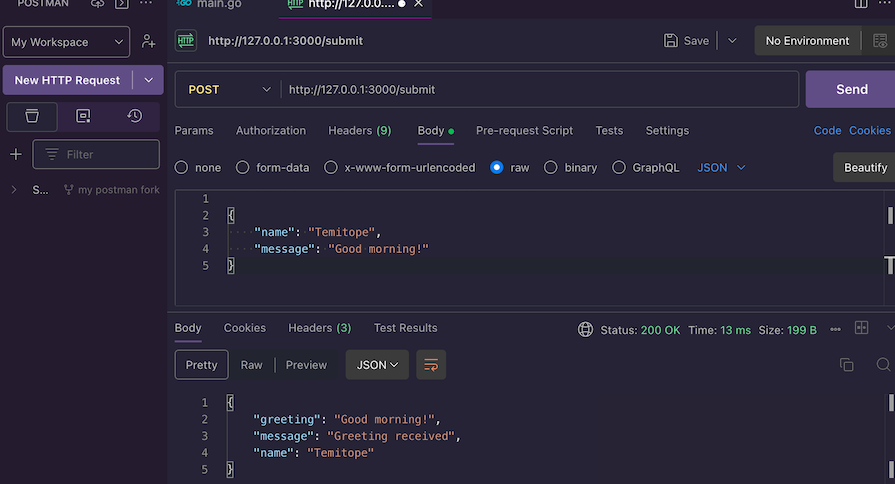 Testing Post Route In Gin Using Postman