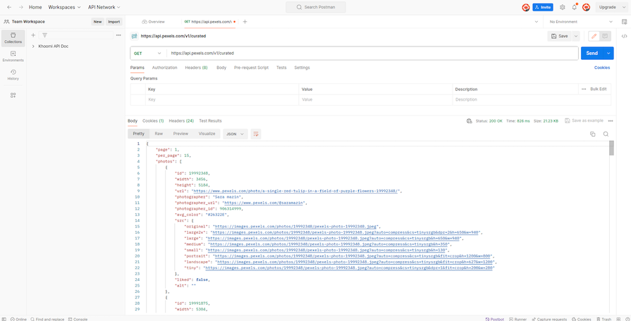 Obtaining Pexels API Key