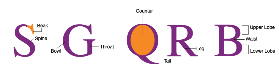 Capital Letters S, G, Q, R, And B With Labels And Colored Sections Showing Examples Of Non Universal Typeface Characteristics Like Bowl And Counter