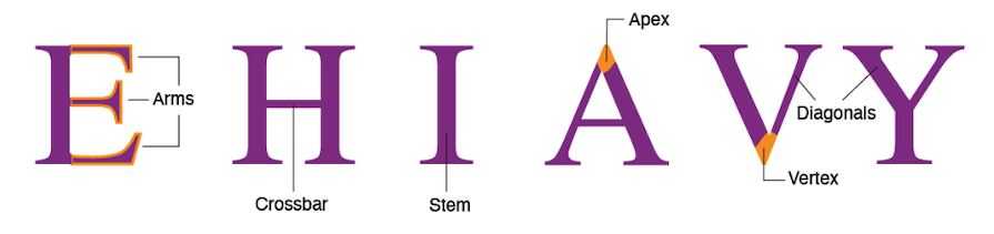 Capital Letters E, H, I, A, V, And Y With Labels And Colored Sections Showing Morphological Features Like Stem And Crossbar