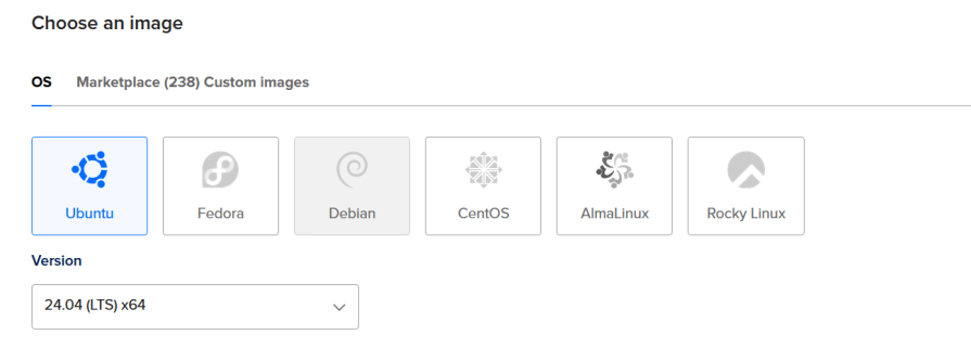 Interface for choosing an operating system image. The options include Ubuntu, Fedora, Debian, CentOS, AlmaLinux, and Rocky Linux. The selected image is Ubuntu 24.04 (LTS) x64.