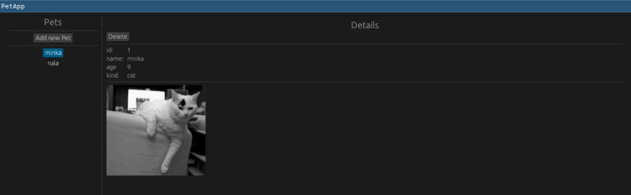 Screenshot of the PetApp GUI with a selected pet’s details displayed. The interface shows the pet “minka” selected from the list, with detailed information including ID, name, age, and kind (cat) displayed on the right side. A random image of the cat is also shown beneath the pet’s details. This image illustrates the functionality of the PetApp, highlighting how egui handles the display of selected pet information and related images within the application.