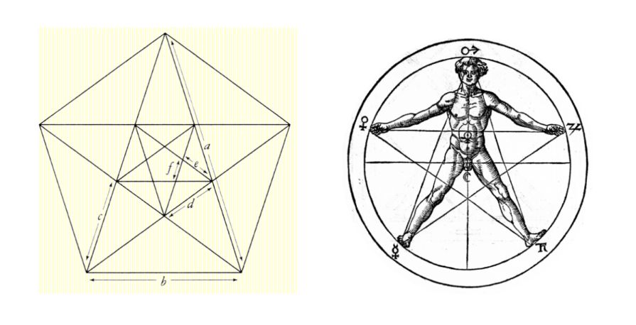 The Fibonacci Sequence-based Shape