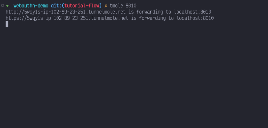 Screenshot of a terminal window showing the output of a tmole command used to forward localhost:8010 to a publicly accessible URL through Tunnelmole. The output includes both HTTP and HTTPS URLs that are forwarding to the local server.