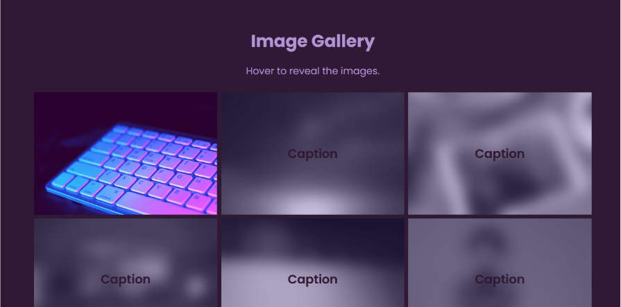 An image gallery with a hover-to-reveal effect, showing blurred images with captions overlaying the pictures, demonstrating the CSS backdrop-filter blur() and caption combination.