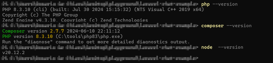 Command Output On The Windows Machine