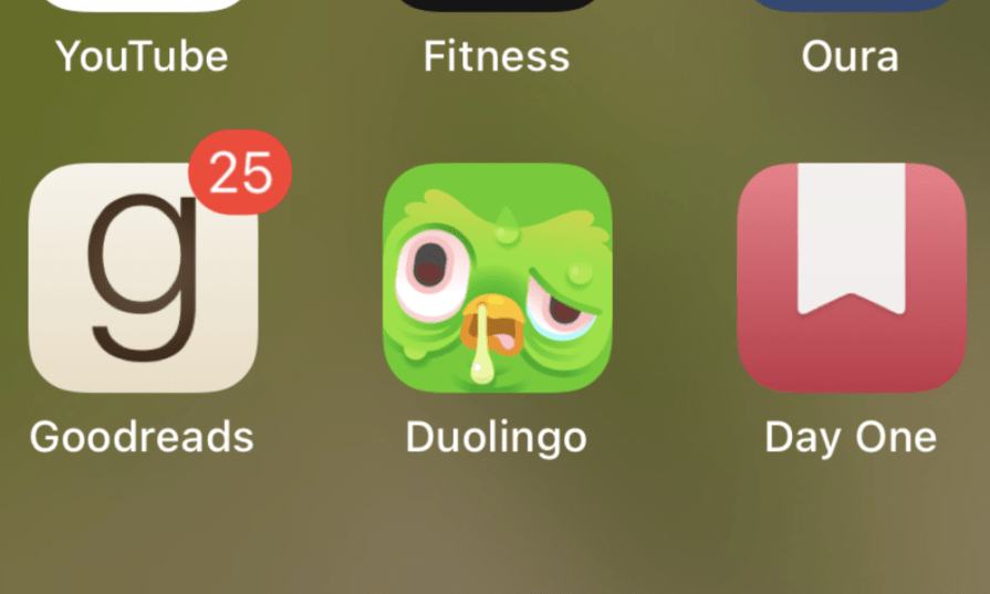 Duolingo Example Priming Users