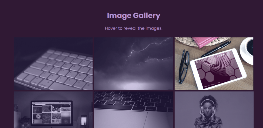 An image gallery with a hover-to-reveal effect, showing a grid of images with a grayscale filter applied, demonstrating the CSS backdrop-filter for an image overlay.