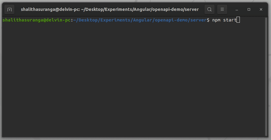 Terminal displaying the command "npm start" executed within the Angular OpenAPI demo server directory.