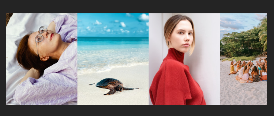 Example Of Pictures In React Carousel