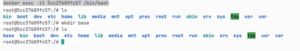 How to use docker exec to interact with running containers - LogRocket Blog